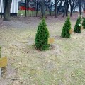 Photo 06